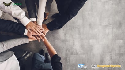 Nyckelroller och färdigheter för ditt SAP Commerce Team